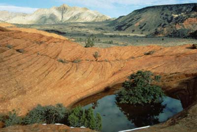 Snow Canyon Trail Rides